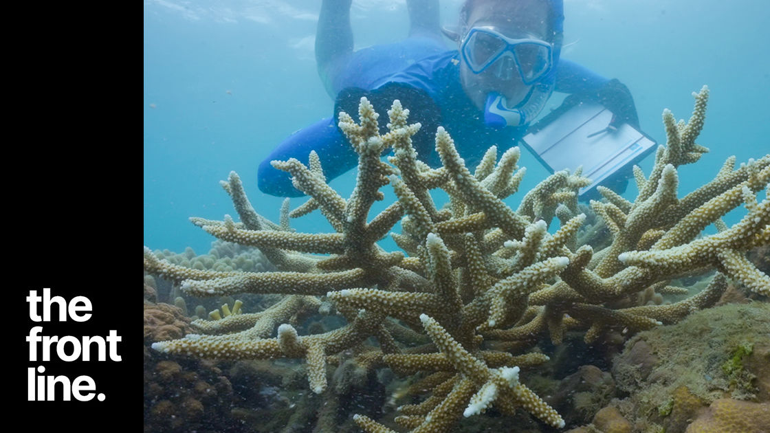 On the Front Line with Reef Community Scientists