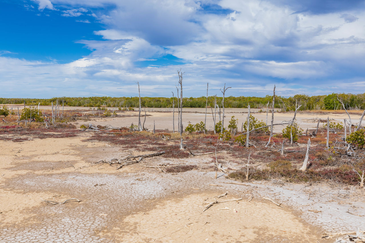 Dry wetlands in St Lawrence, Central Queensland, Australia.