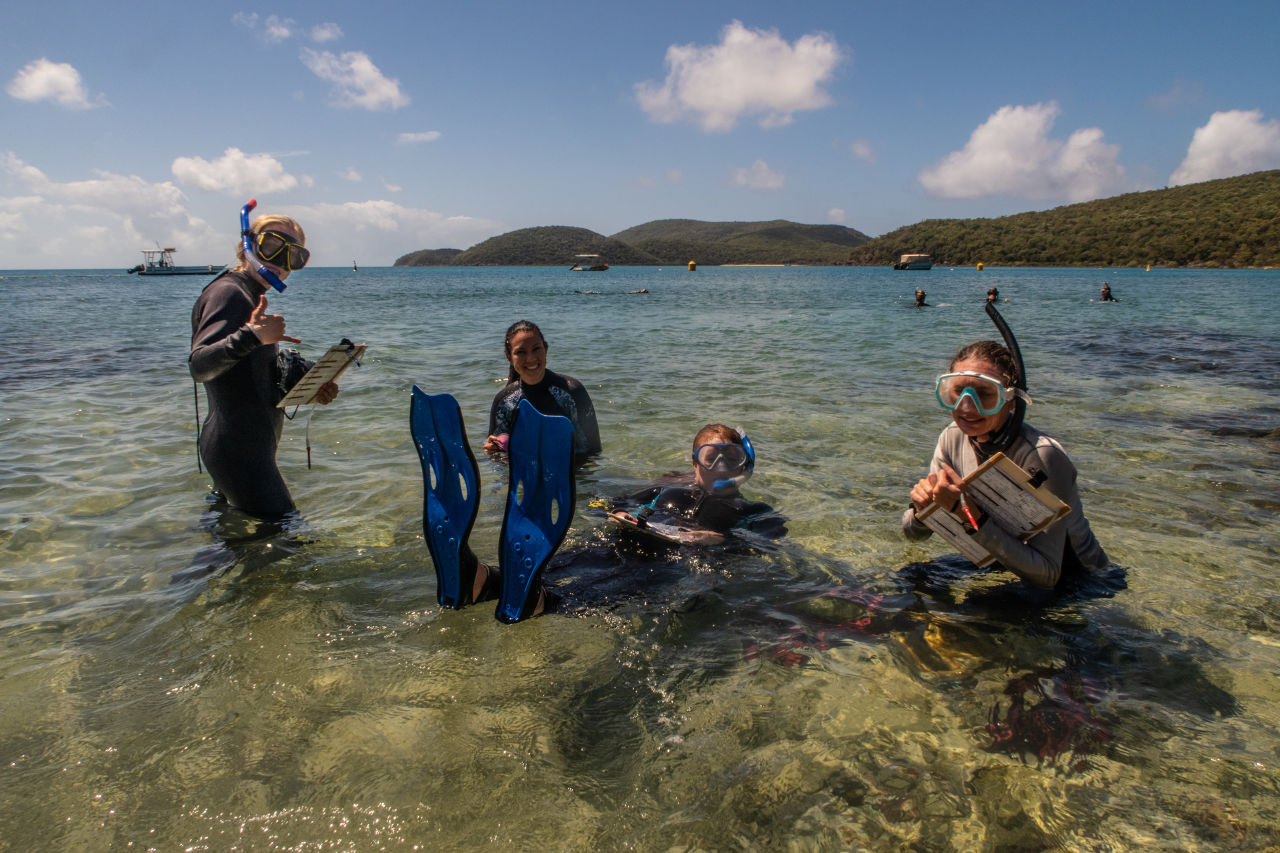 The team ready to go out on survey. Credit: Reef Ecologic