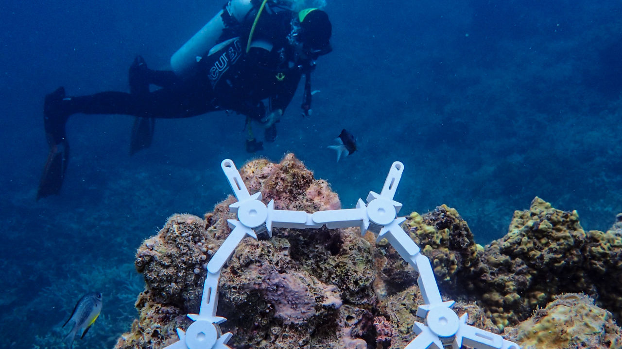 Technology to protect baby corals - Great Barrier Reef Foundation