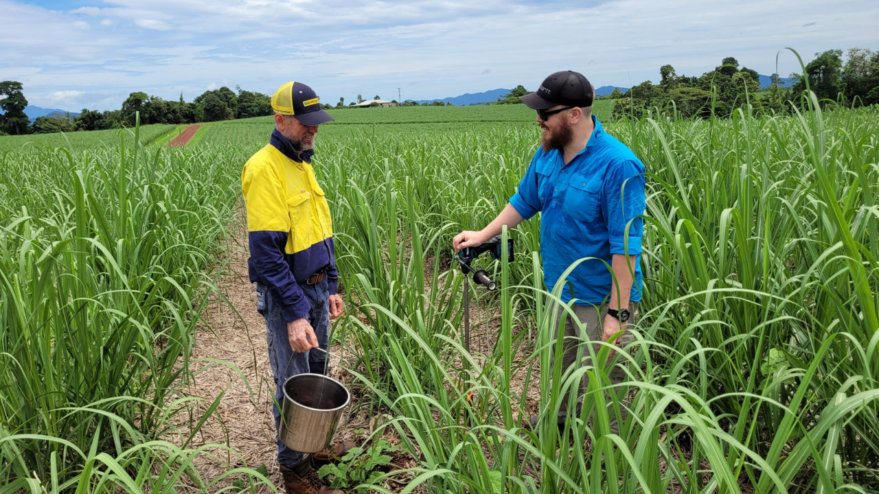 FNQ Farmers take a new approach to improve Reef water quality