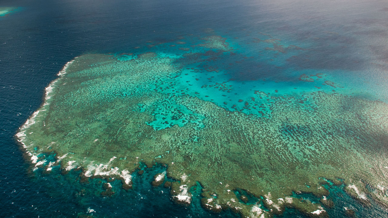 Over $19 million of Reef Trust Partnership Water Quality Grants for Regional Queensland 