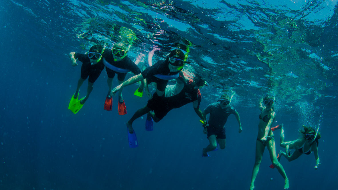 Volunteers making a world of difference to the Reef