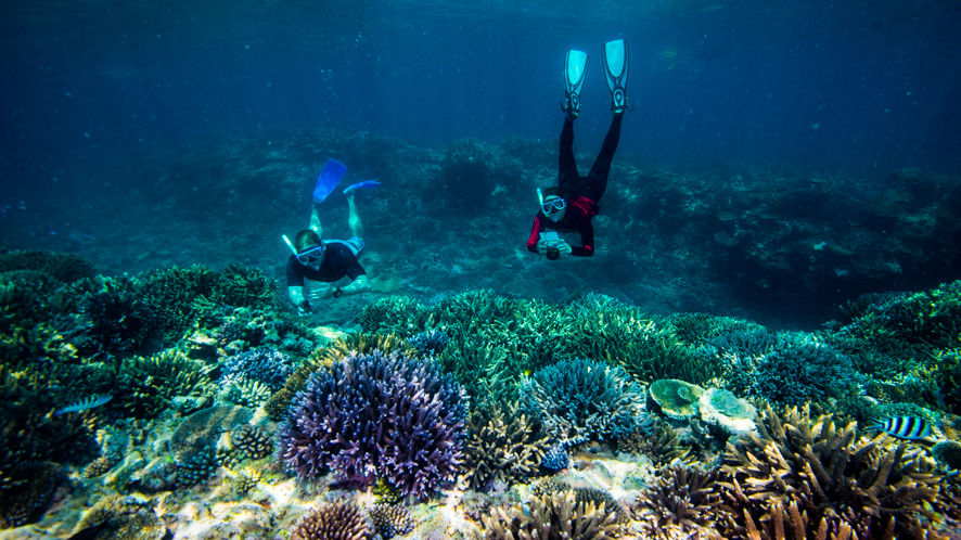 $700,000 in community grants to support citizen science Reef monitoring