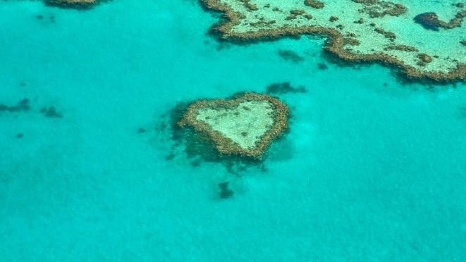 Saving the Great Barrier Reef through innovative partnerships