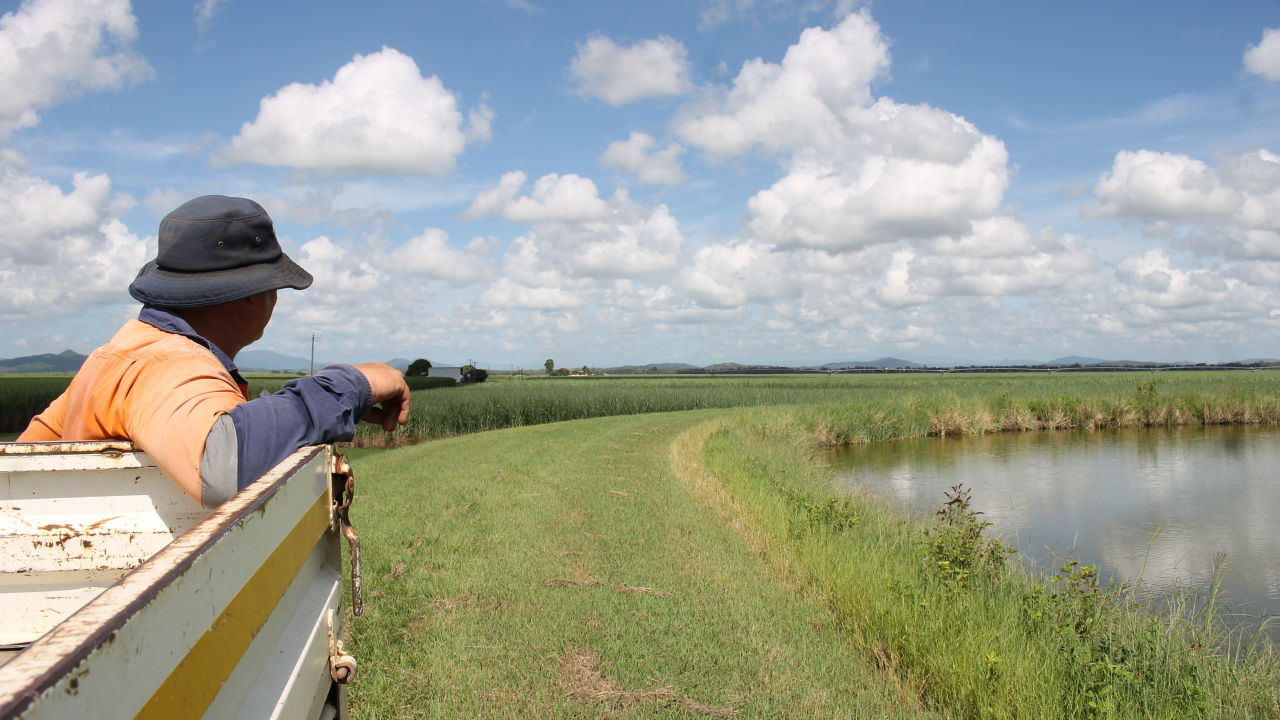 The Mackay Irrigation Project, a win for growers and the Reef 