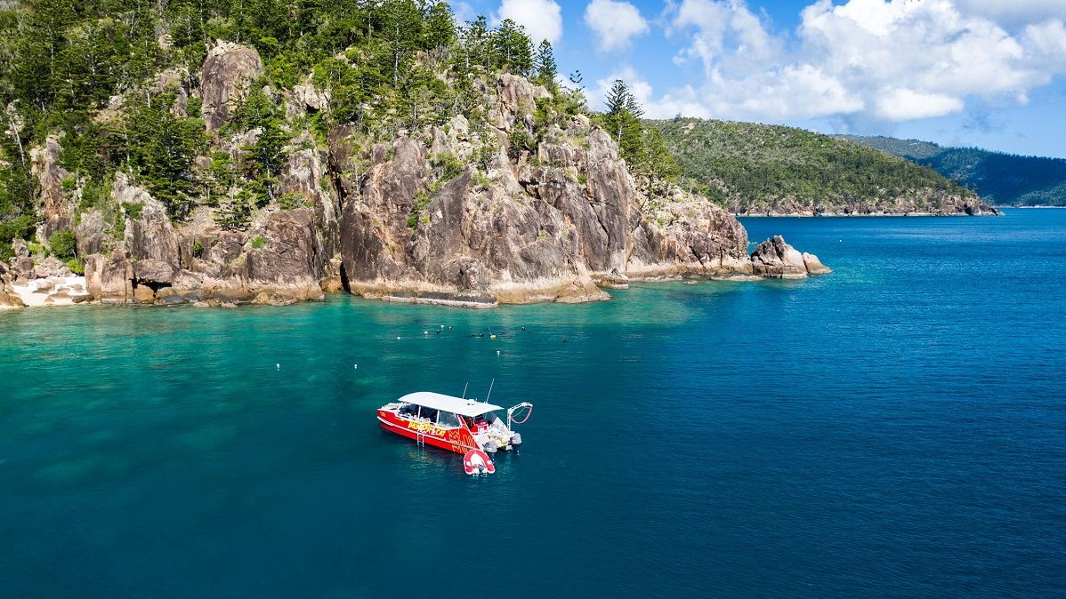 Whitsunday tourism operators upskill to help restore local reefs