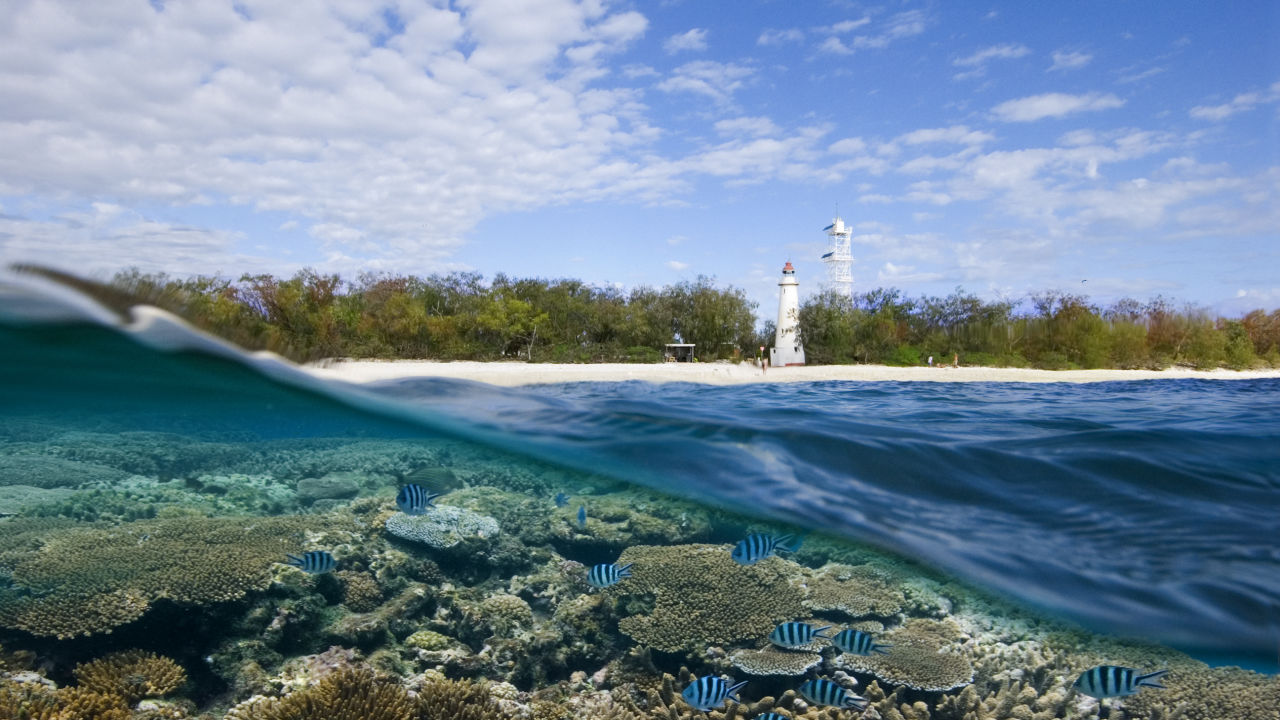 Restoring Reef Island Habitats