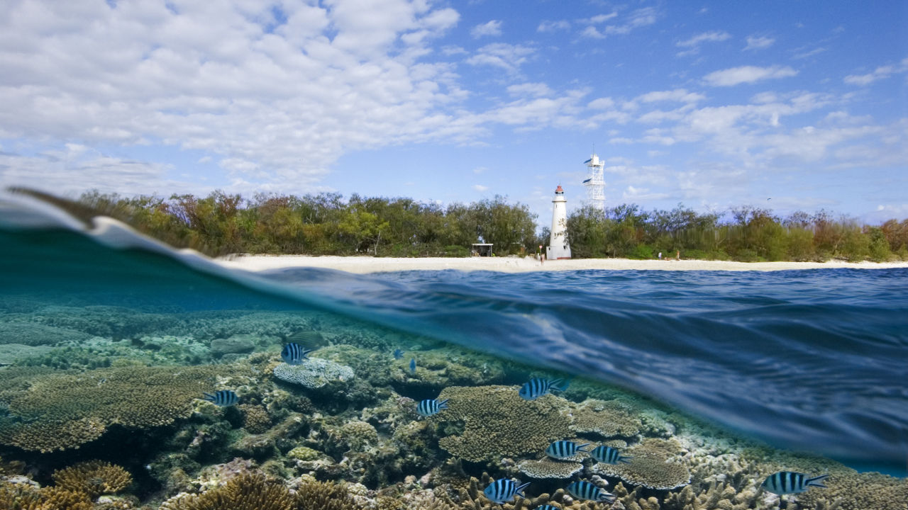 Reef Islands Initiative