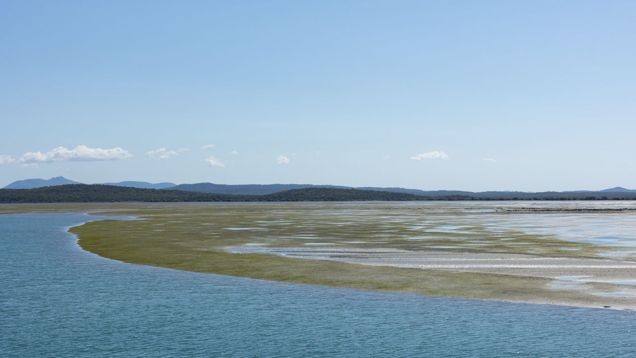 Chubb and the Great Barrier Reef Foundation join forces to restore Australia’s coastal lifelines