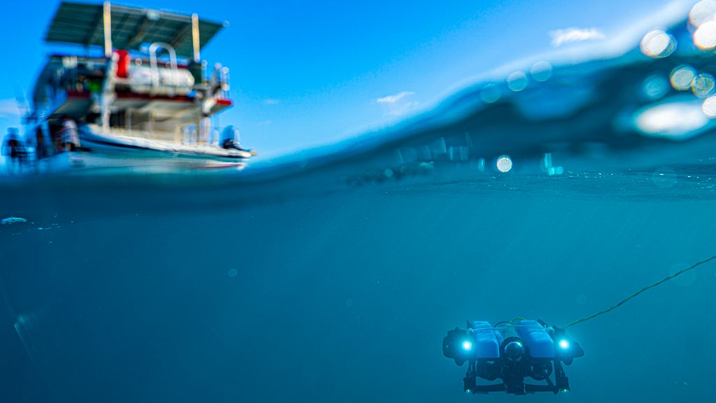 Drones, AI and e-DNA keeping tabs on Great Barrier Reef and animal health