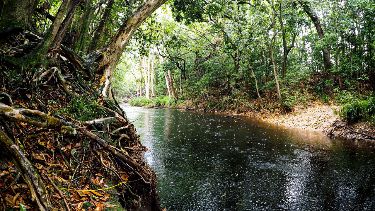 Mulgrave-Russell Regional Water Quality Program