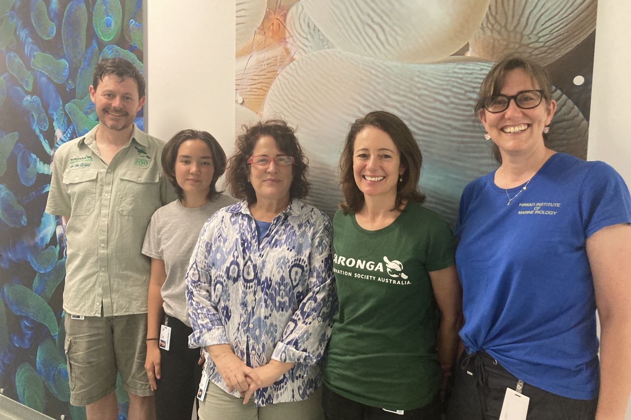 Taronga Conservation Society researchers on site at the Australian Institute of Marine Science's National Sea Simulator to collect coral spawn, separate bundles to analyse and freeze sperm, and also use eggs to fertilize and create coral larvae for new cr