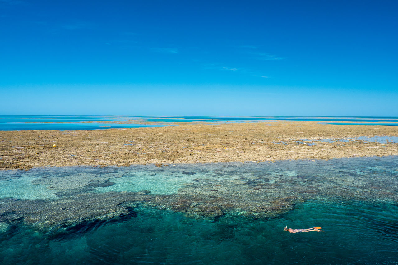 Snorkeler on the Great Barrier Reef. Ocean Image Bank 