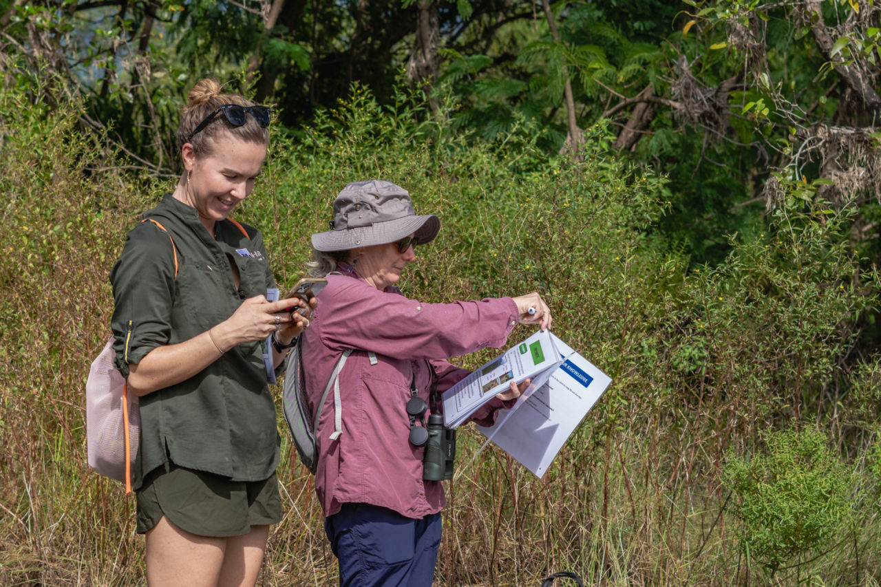 CAFNEC volunteers collecting data on saltmarsh and mangrove health. Credi: Ben and Di