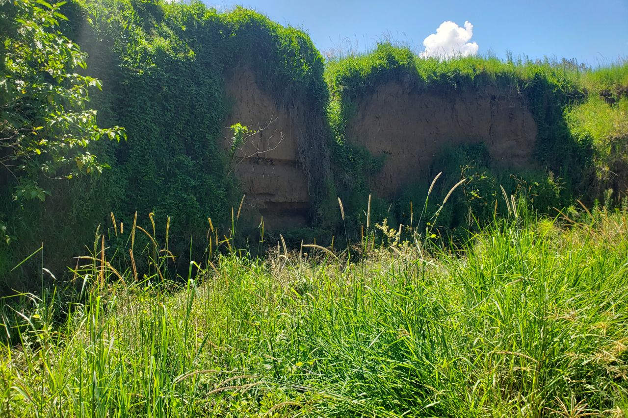 A field day with the Mary River Recovery Consortium looking at bank stabilisation projects using pylons on landholder Ian Mackie's property in the Mary River Catchment.