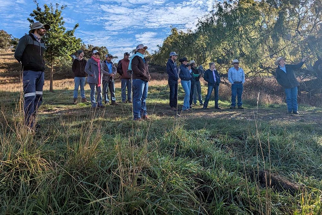 The Mulloon Institute Regenerative Agriculture Consultant Sam Skeat talks about natural landscape function at one of the Mulloon properties near Canberra. Credit: NQ Dry Tropics.