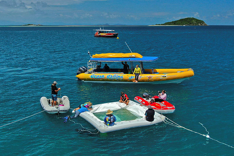 The Boats 4 Coral team and larval pool on the Whitsundays. Credit: Johnny Gaskell.