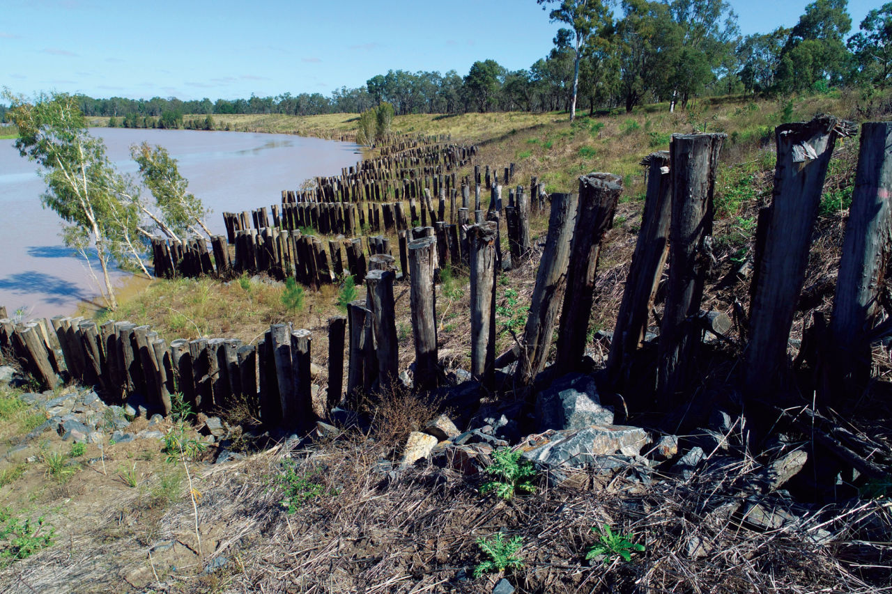 South Yamba - 1 km of streambank rehabilitated on the Fitzroy River – 23,000 tonnes/yr sediment saved. Credit: Fitzory Basin Association