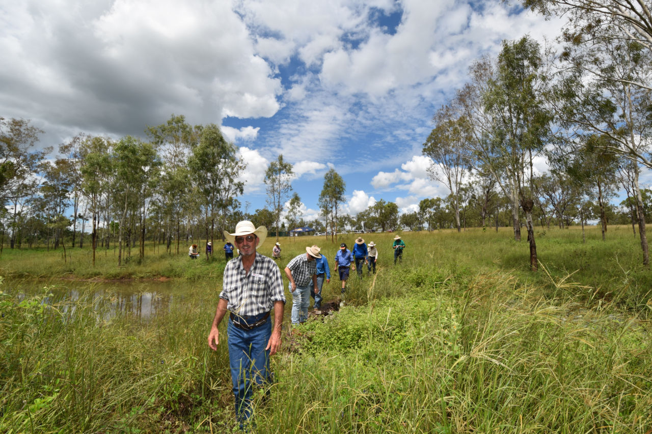 Funded by the Reef Trust Partnership, ecologist and botanist Dr Greg Calvert provided knowledge and support to help landholders identify grass species on their local patch.