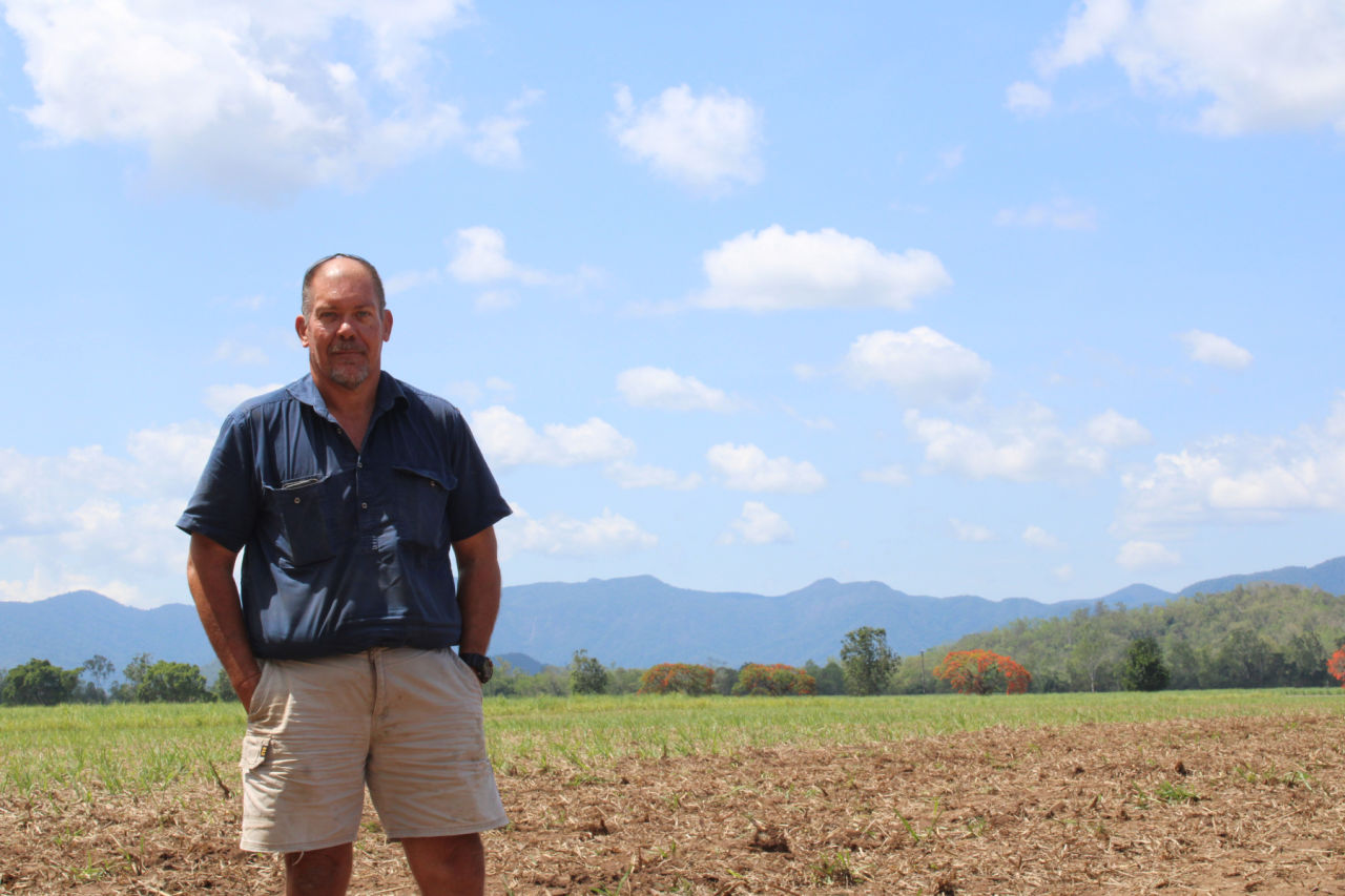 Second generation sugarcane grower Frank Succio. Credit CANEGROWERS Herbert River