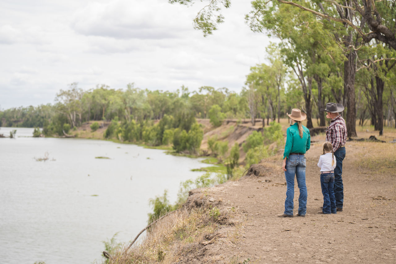 Stabilising streambanks is one of the most effective ways to stem the flow of fine sediment to the Reef. Credit: Fitzroy Basin Association