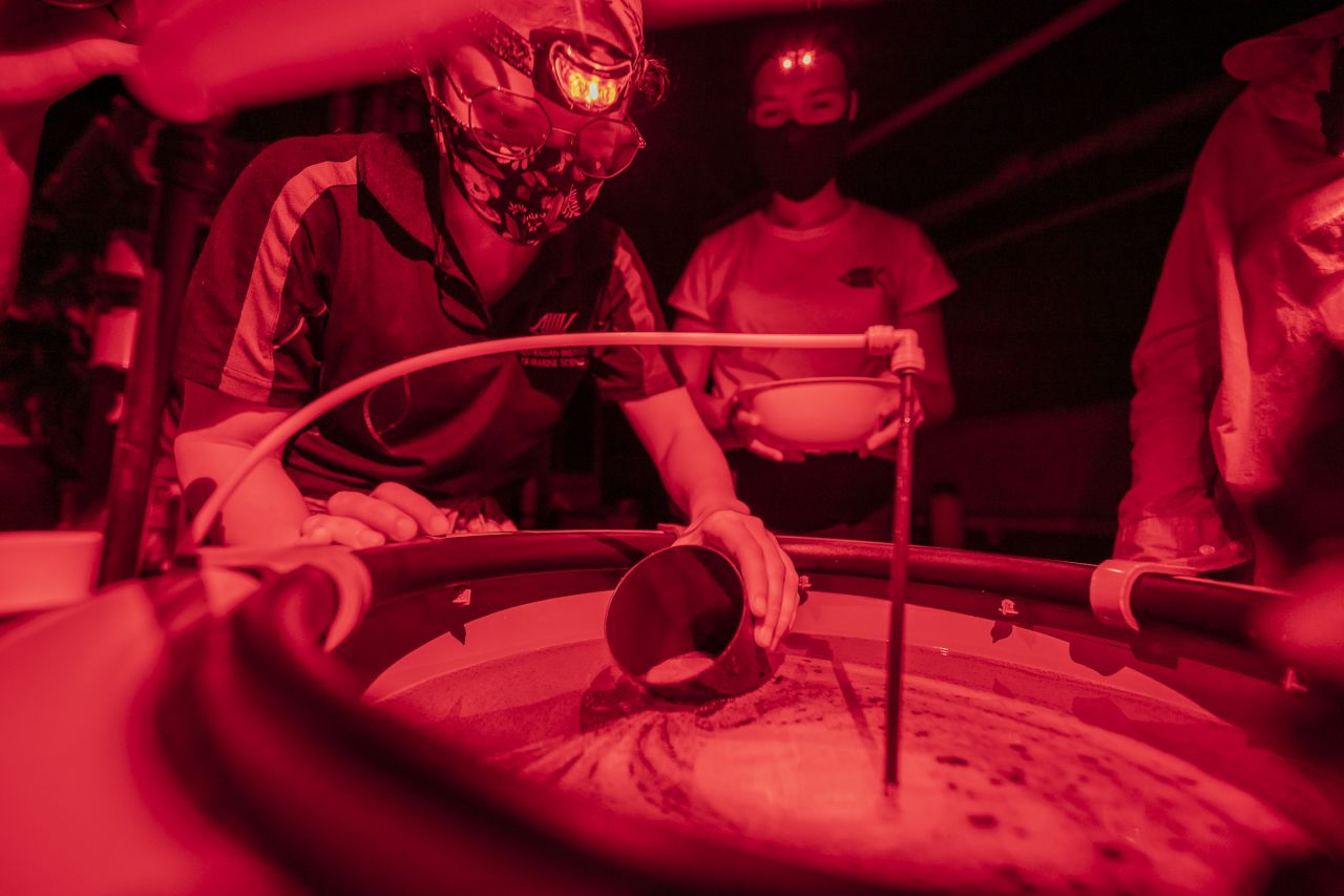 Researchers at the Australian Institute of Marine Science’s National Sea Simulator collecting coral spawn by hand. Credit: Dorian Tsai 