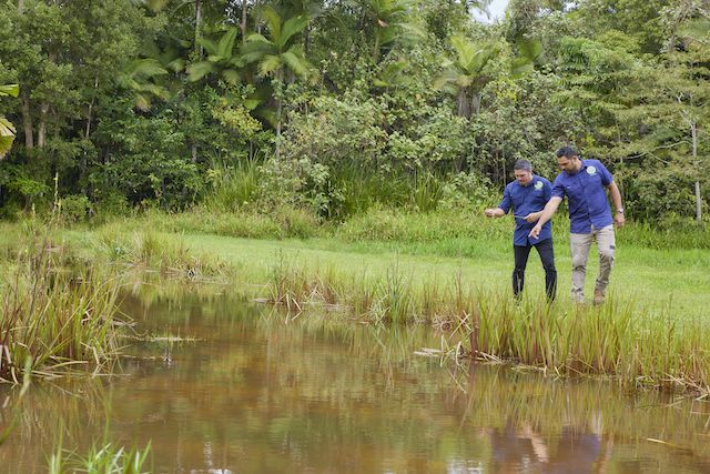 Cultural Education Officer/CEO and Ranger Manni Edwards and Head Ranger John Fejo inspect Sediment Pond 2 on the Goondoi wetland. Dyirribarra/Bagirbarra (Innisfail). Credit: Our Reef Stories.