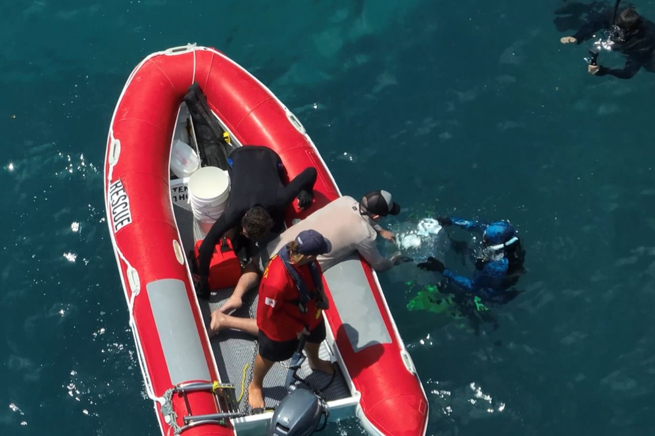 Boats4Corals delivery partners supporting the trial of larval seedboxes in the Whitsundays during spawning in November 2025. Image credit: Johnny Gaskell