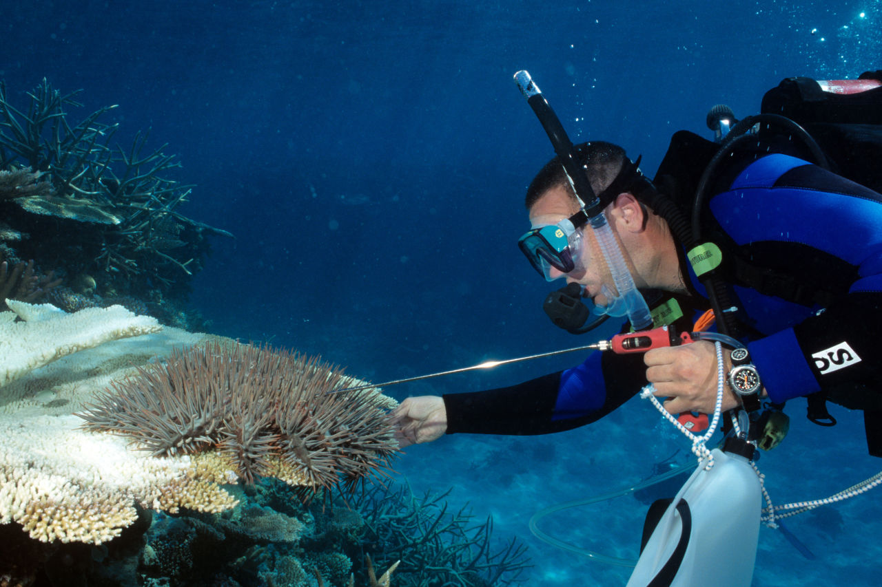 Great Barrier Reef Marine Park Authority