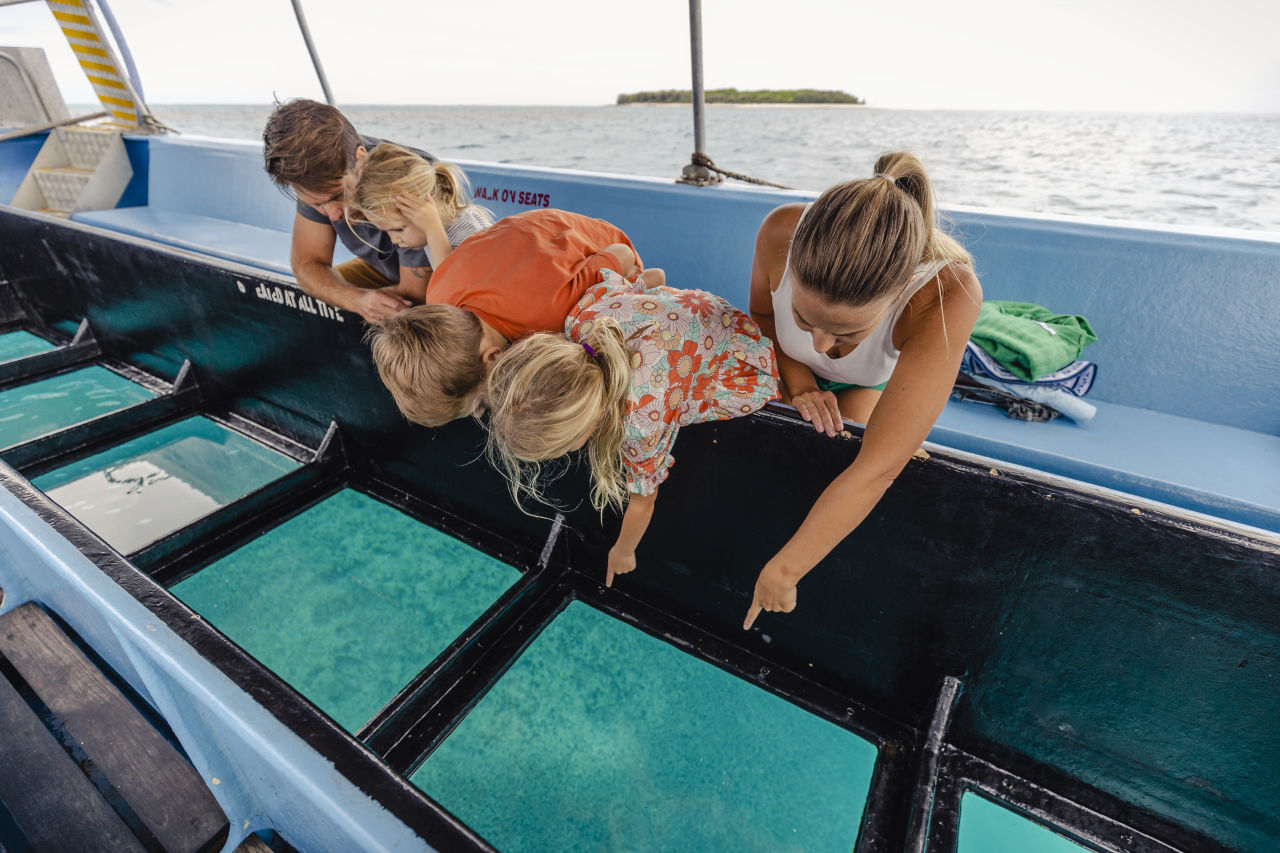 Your gift, regardless of size, will help restore corals and safeguard the future for Reef animals. Credit: Tourism and Events Queensland