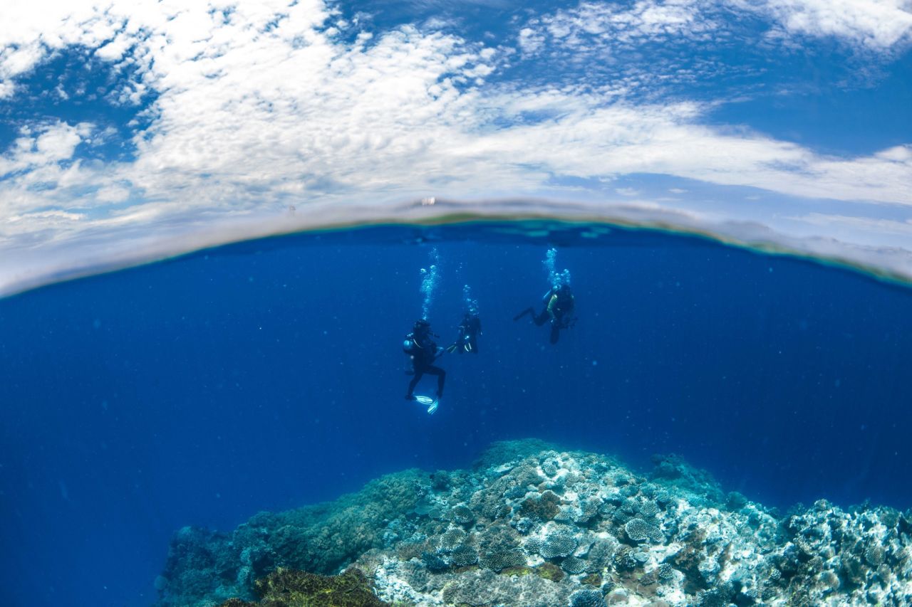 Photo credit: Gabriel Guzman Calypso Reef Imagery and Underwater Camera Hire