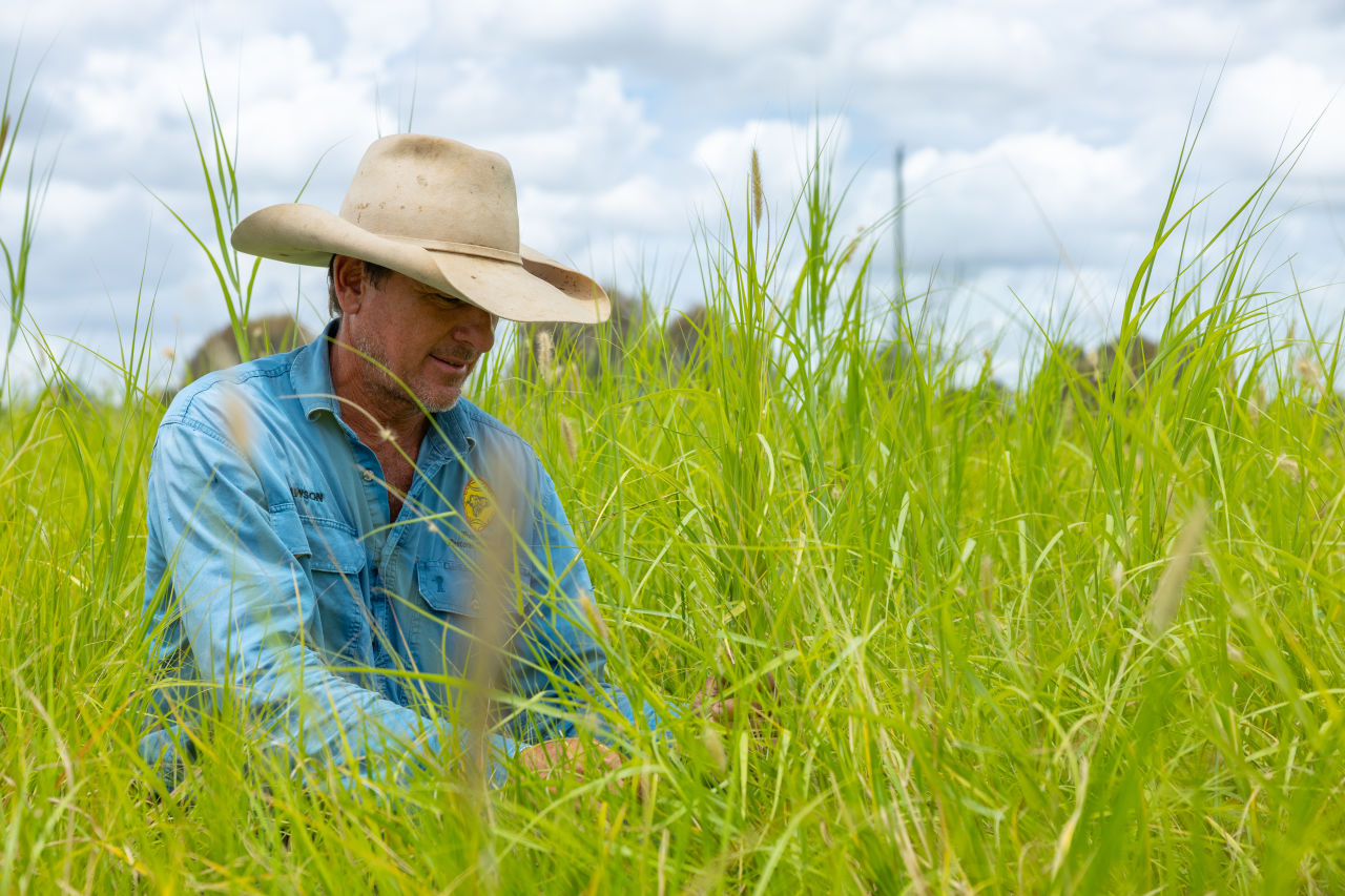 Assessing quality pasture. Image Greening Australia