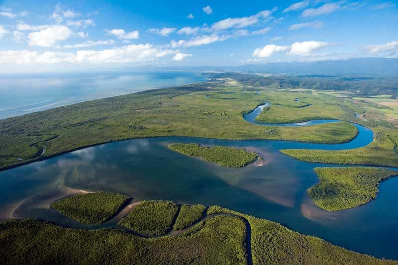 Aerial view of Wet Tropics mangroves. Credit: Wet Tropics Waterways Report Card.