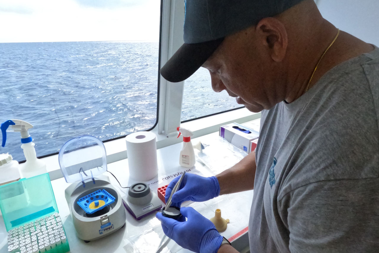 A Marine Parks ranger using eDNA technology to monitor crown-of-thorns starfish populations on the Reef. 