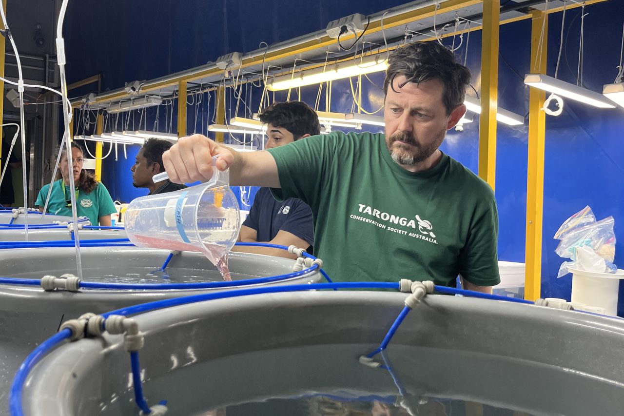 Dr Jonathan Daly delivering coral babies to a larval tank in the lab