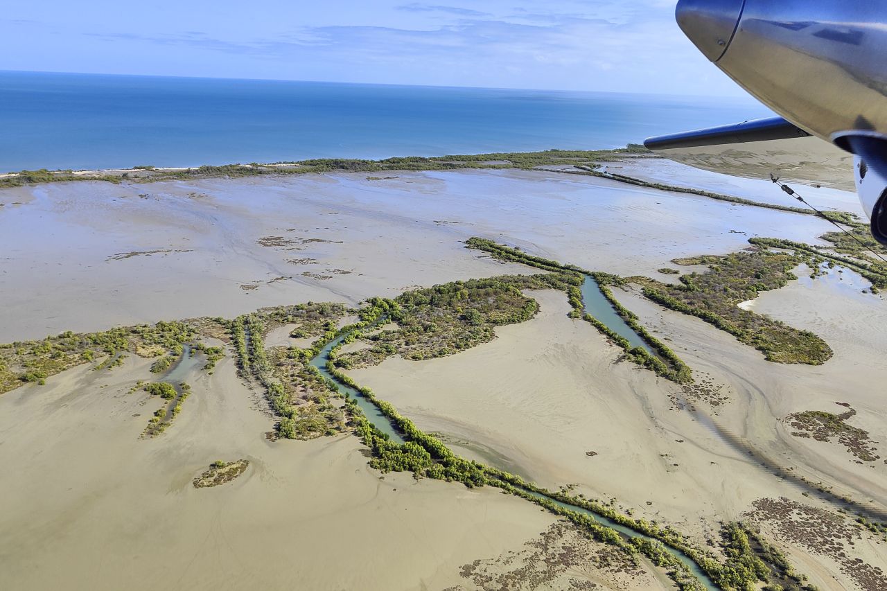 Aerial surveys play a crucial role in monitoring dugong populations along Queensland's coast. Credit: James Cook University.