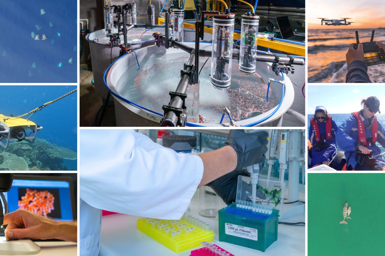 Four innovations changing how we see the Great Barrier Reef