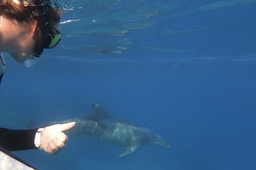 Jacinta loves showing visitors the amazing creatures that call our Reef home. Credit: Jacinta Shackleton