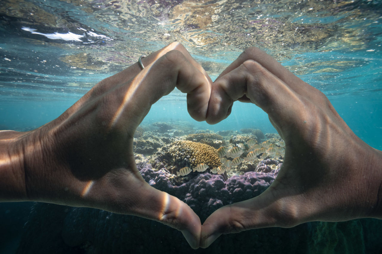 Joel's passion for coral reefs is evident in his photography. Supplied: Joel Johnsson