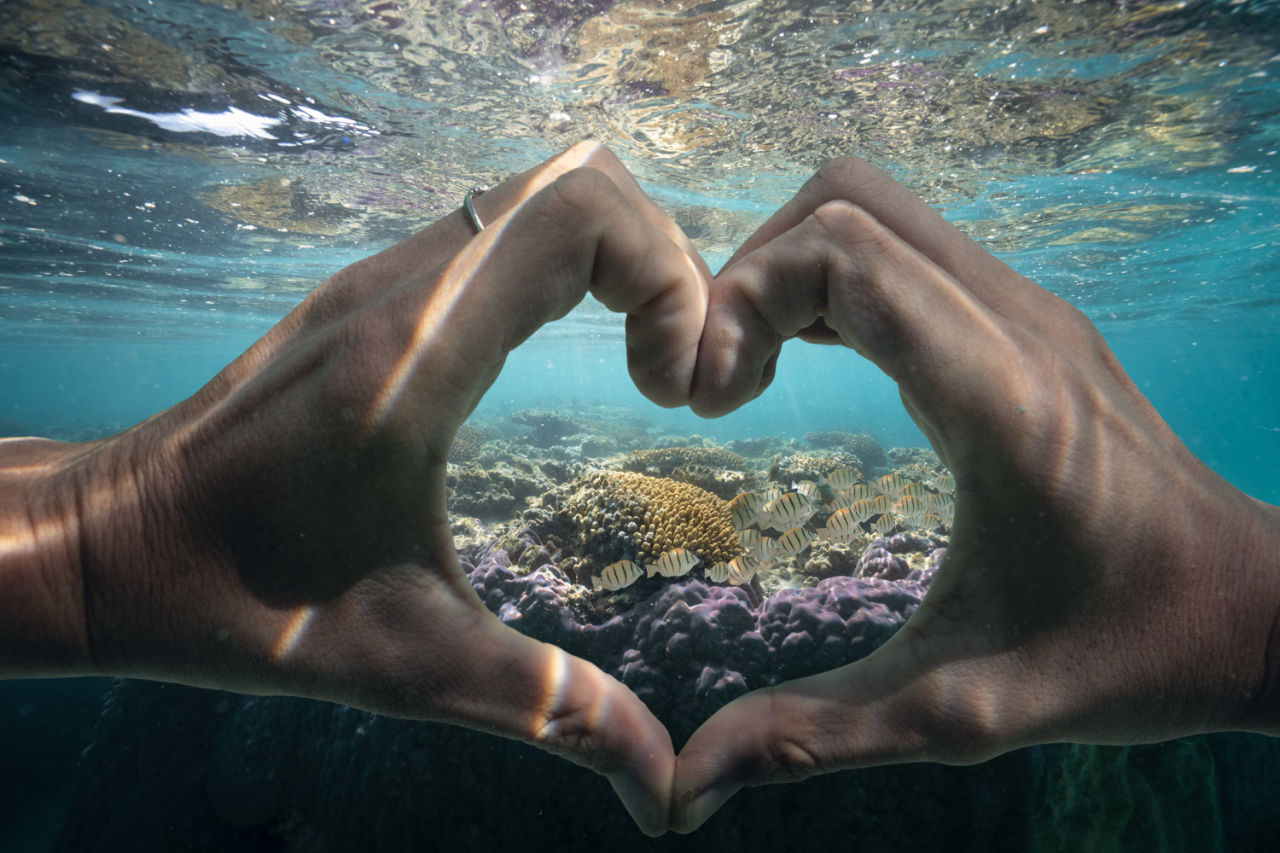 Ningaloo Reef. Credit: Joel Johnsson.