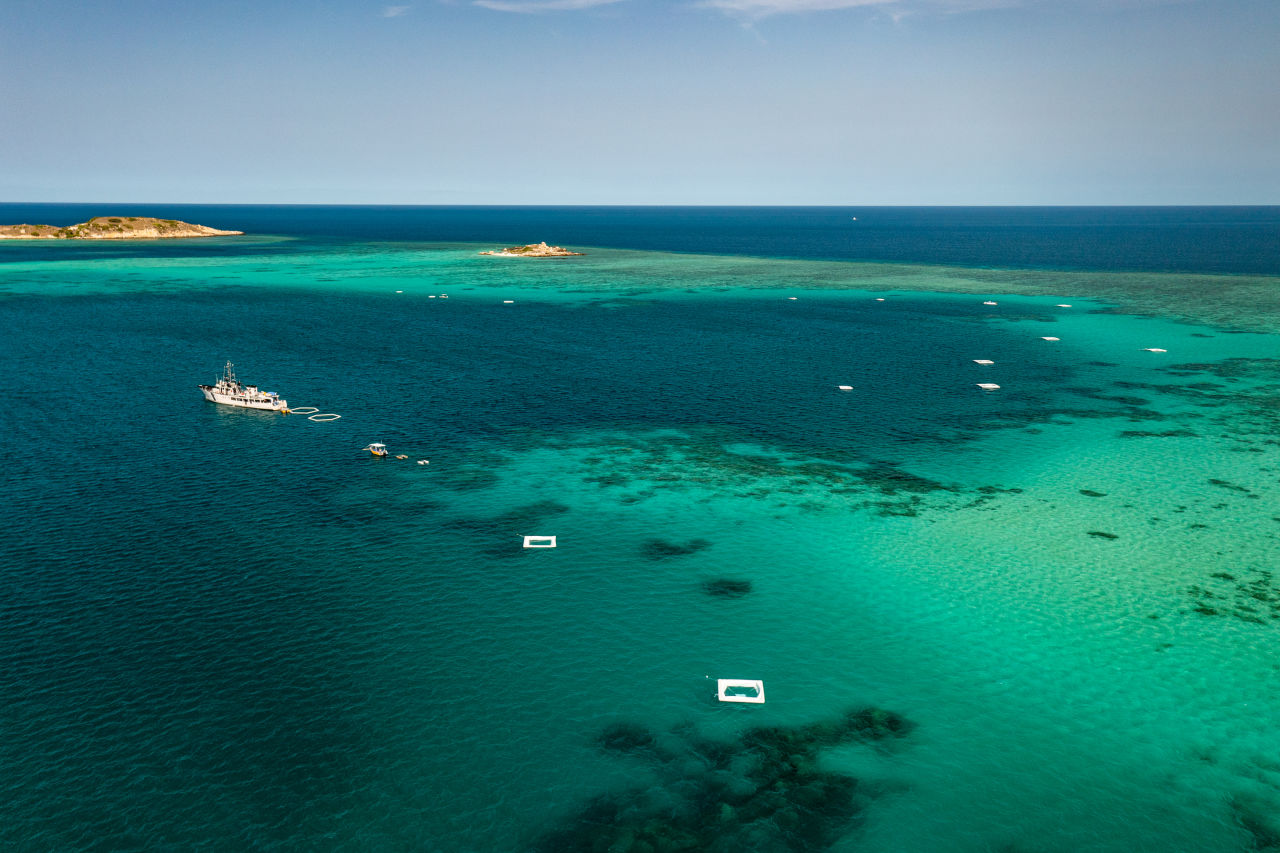 Specially designed pools were used to collect and store coral larvae in the Lizard Island lagoon. Credit: SCU