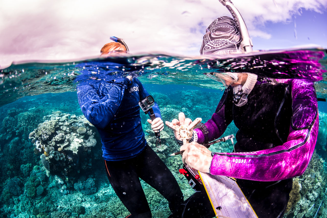 On-water training days bring scientists and Reef community together to monitor and evaluate RRAP projects. Supplied: Matt Curnock 