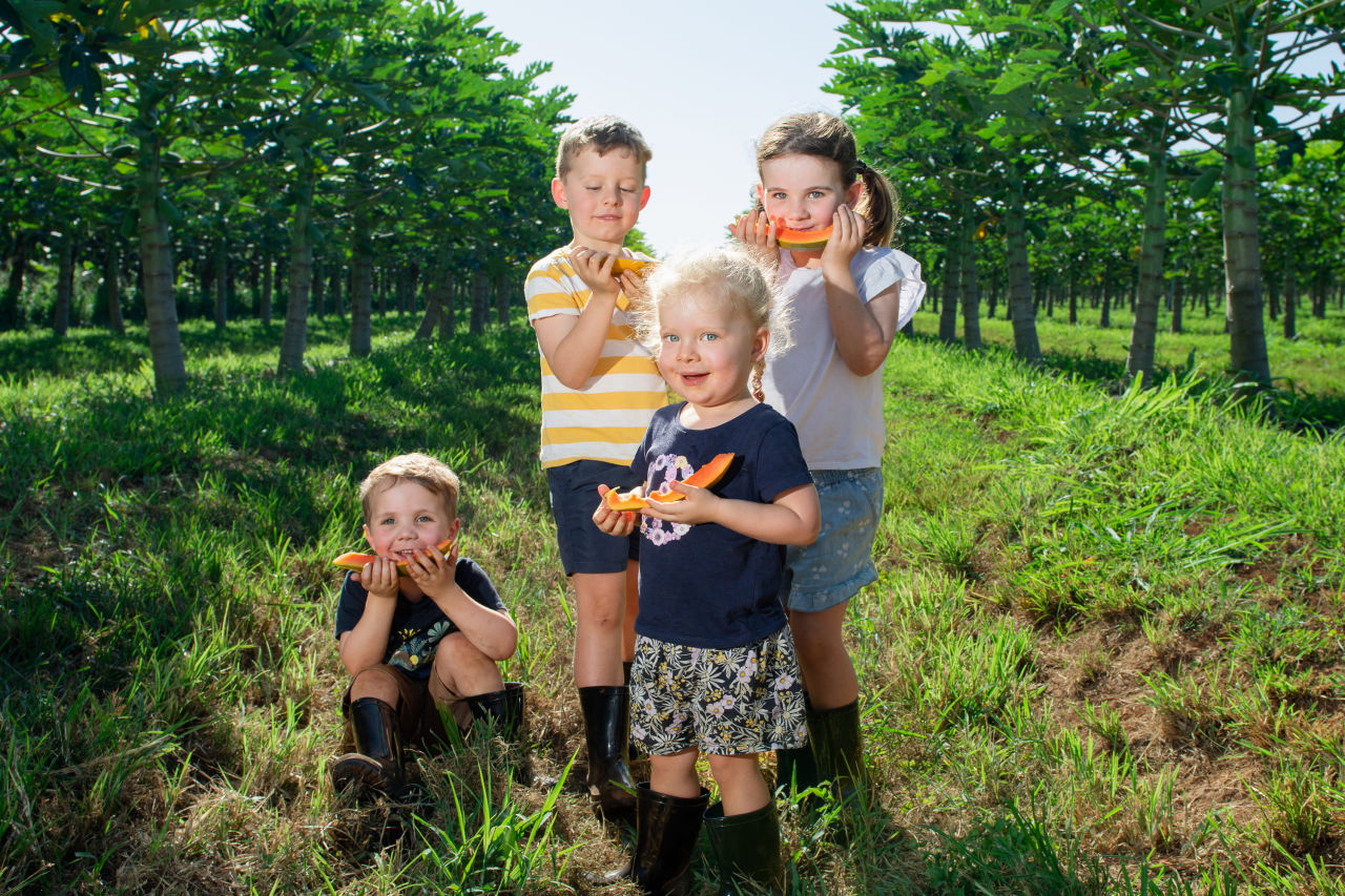 The next generation of Abbott organic banana and paw paw growers? Image supplied by Ben Abbott