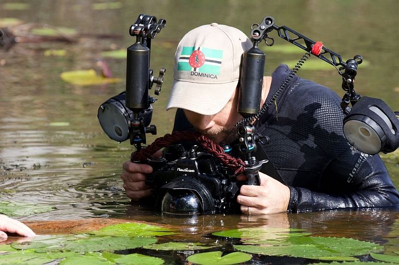 Matt in action, photographing turtle hatchlings in Ross River with JCU scientists. Credit: Ian McLeod 