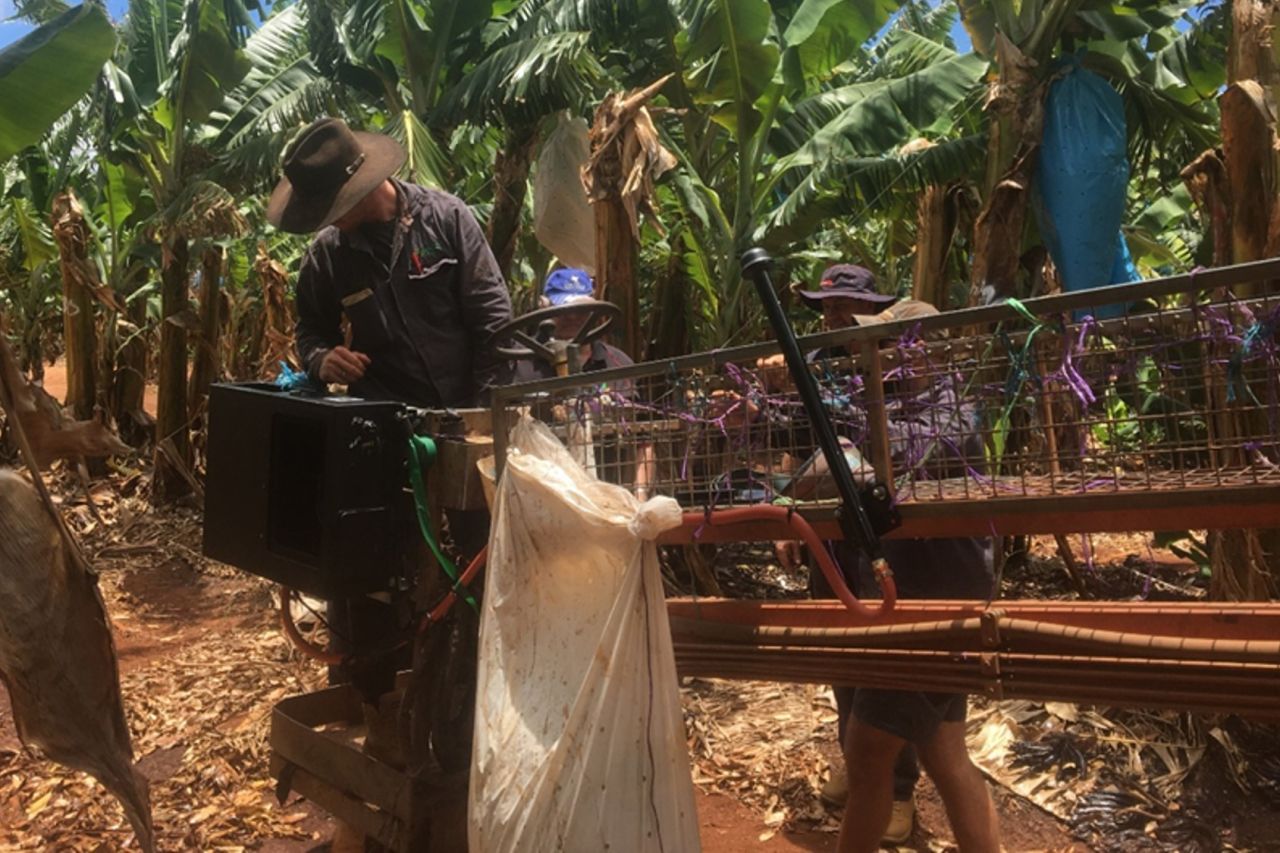 Trials underway at the Abbott's Organic Farm. Image Farmacist