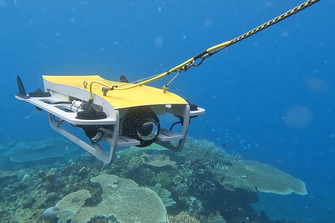 By using robotics with AI capability, we can capture and analyse images of the Reef in real time.