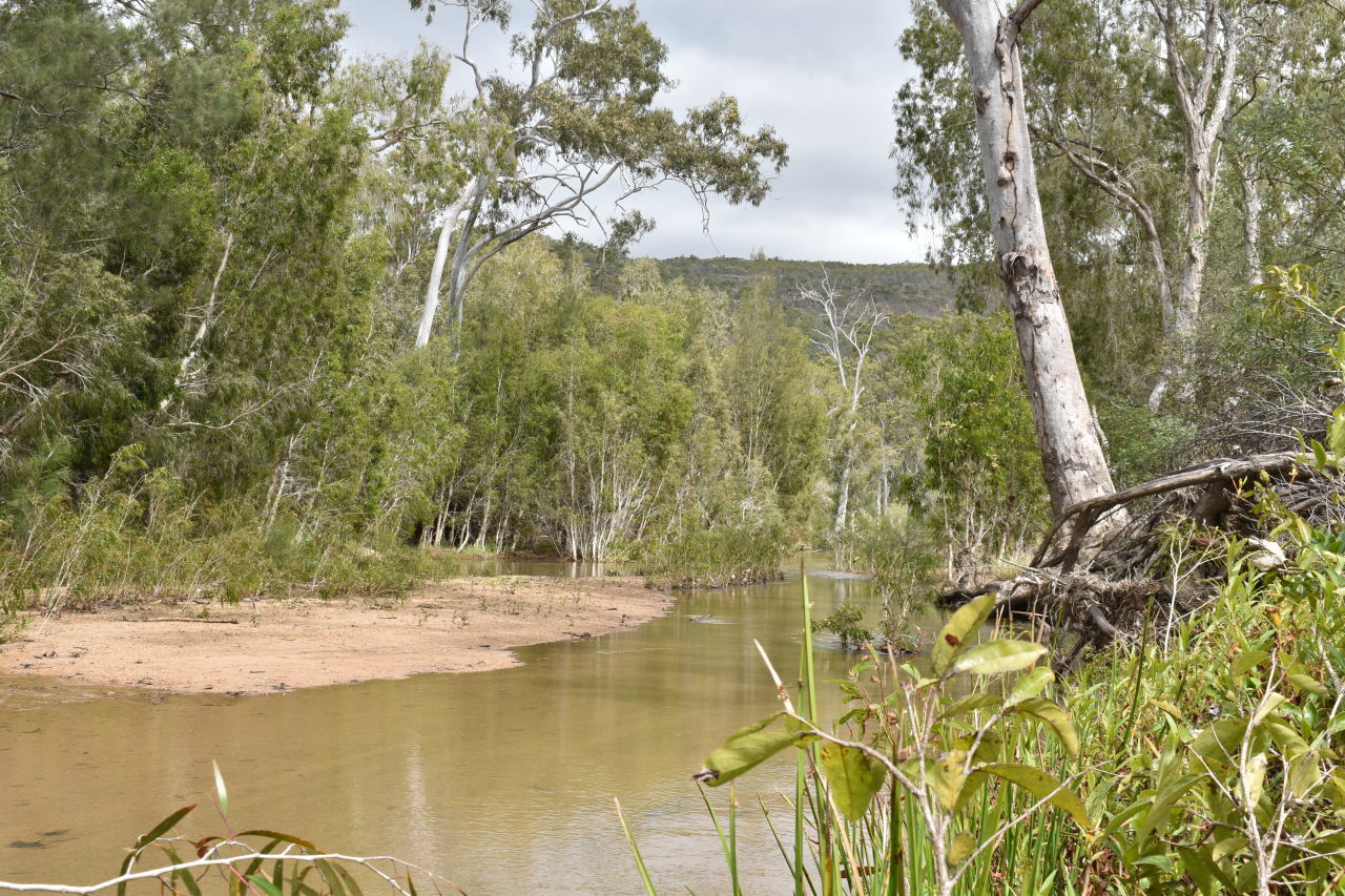 Running River runs through ZigZag Station for more than 28km. Image NQ Dry Tropics