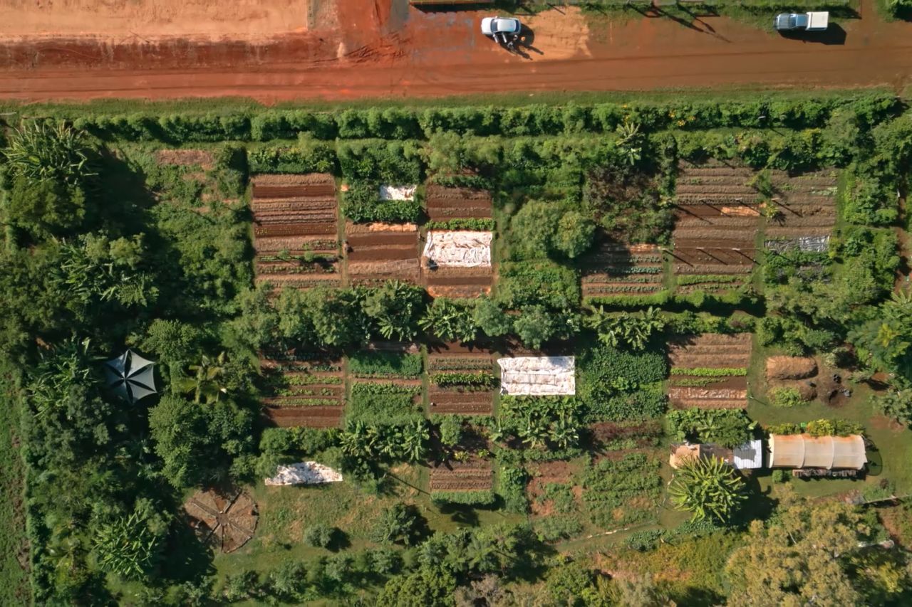 Involving school-aged students in permaculture has been part of the plan. Credit: Ben an Di