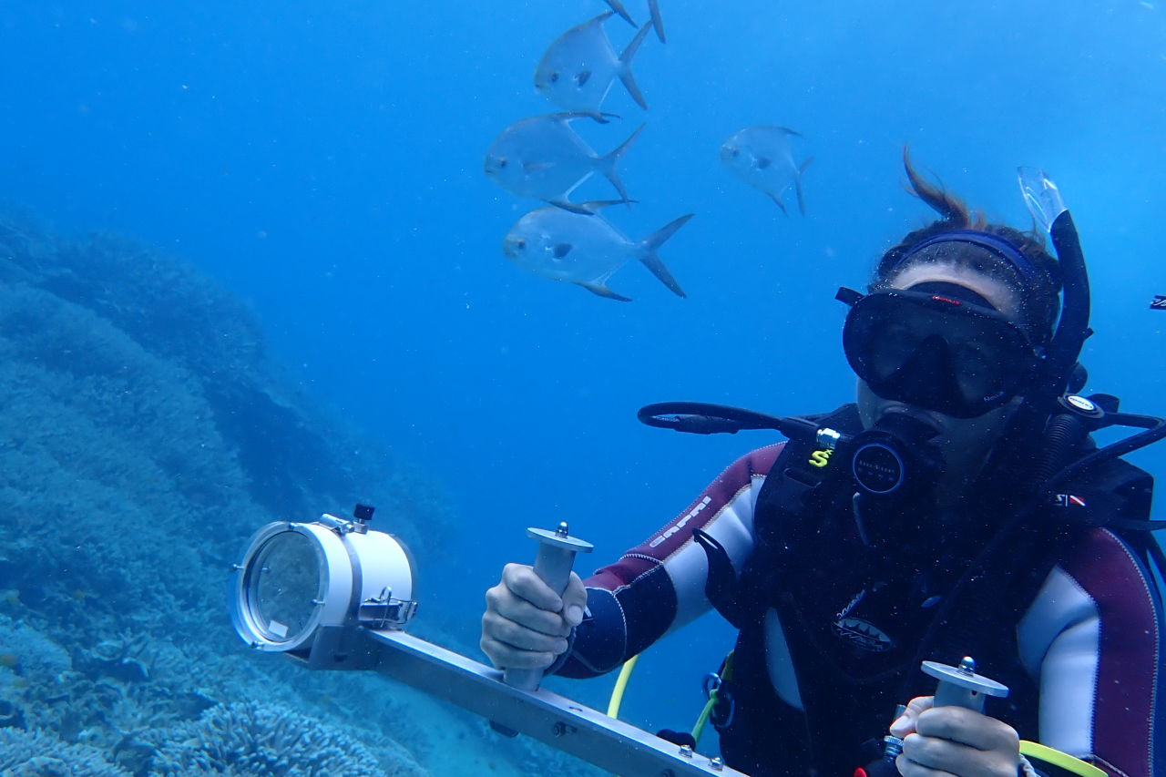 Stereoscopic camera setup on Lady Elliot Island's reef. Credit: Leaf to Reef
